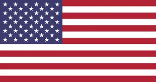 american flag-Novi